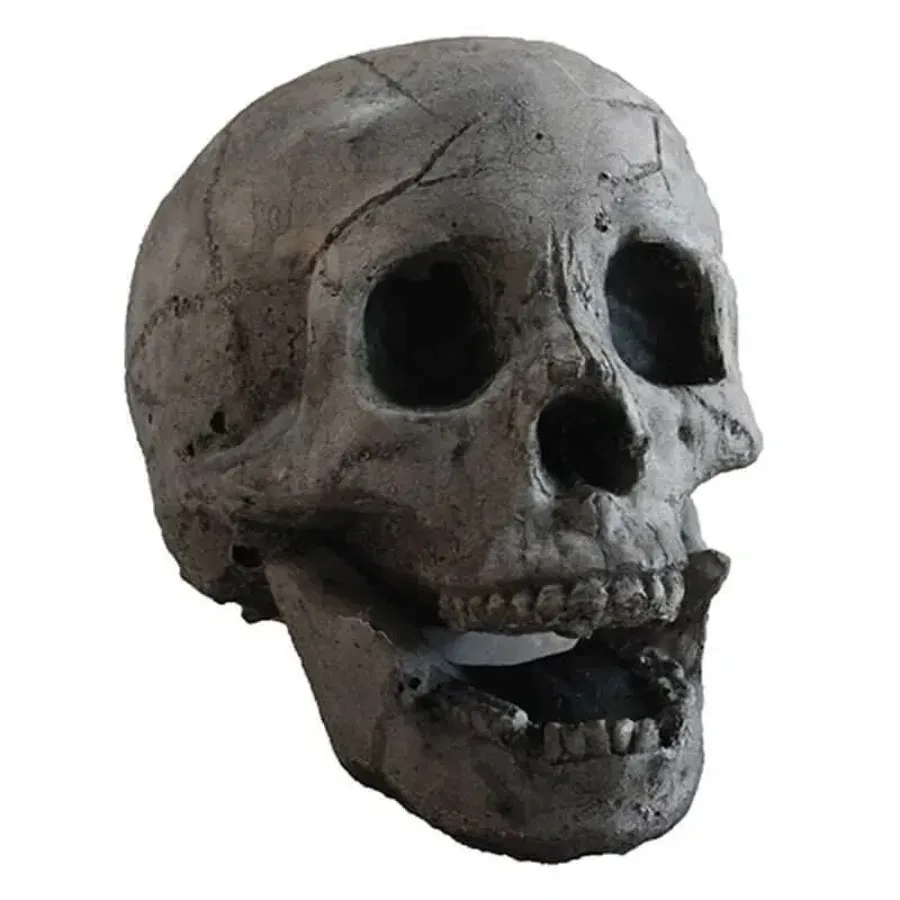 Terrifying Human Skull Fire Pit 6 PCS