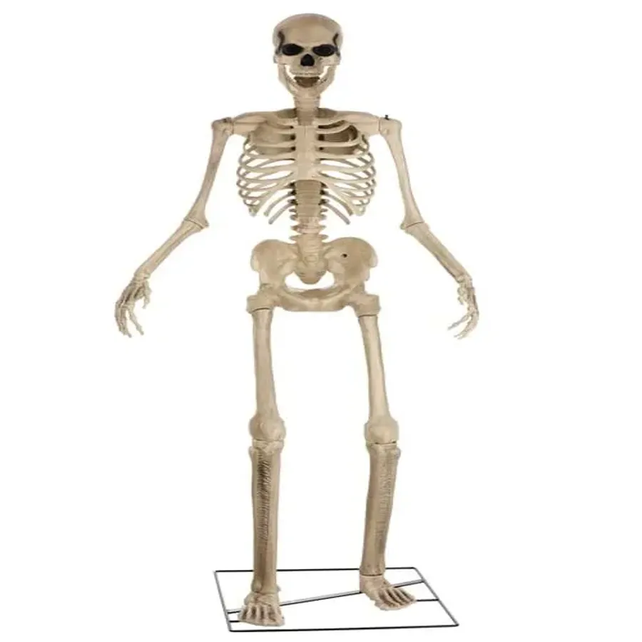 12ft Skeleton