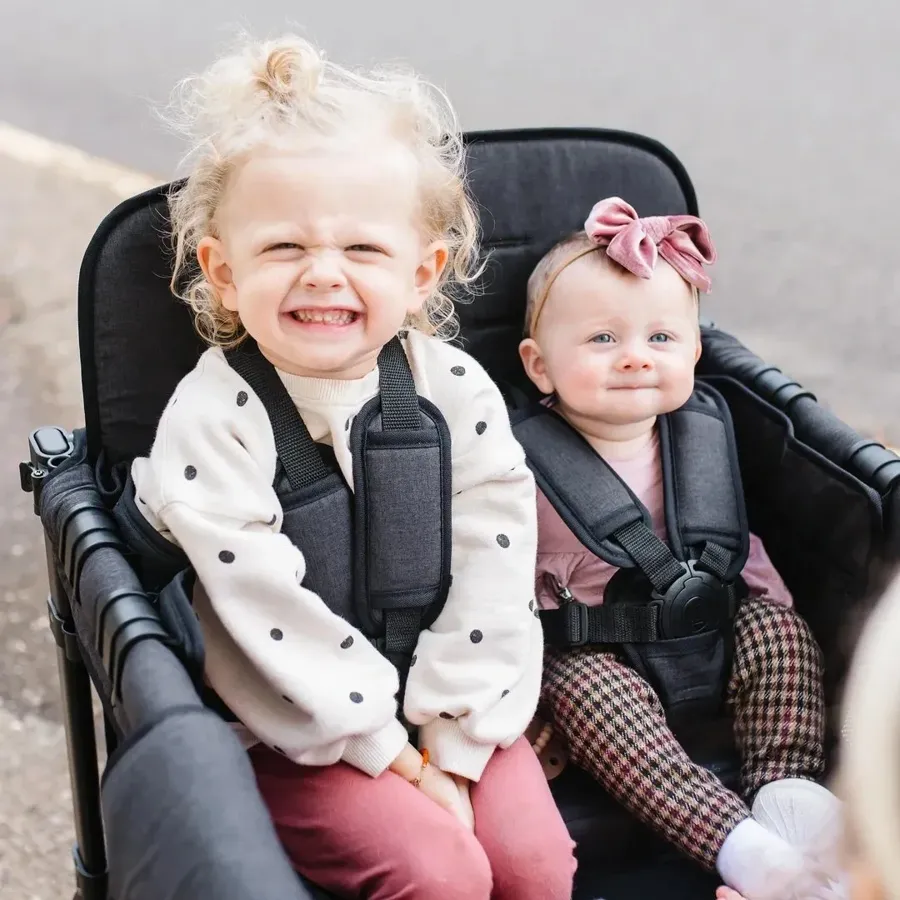 Quad Stroller Wagon