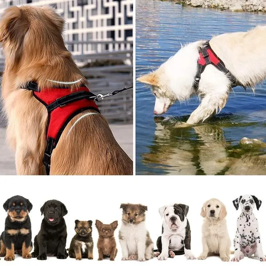 No-Pull Dog Harness - Adjustable Harness for Dogs