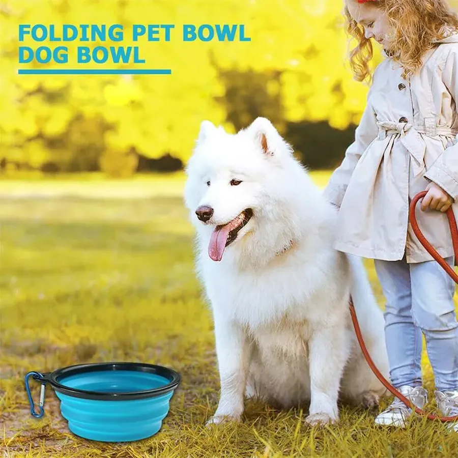 Collapsible Dog Bowl