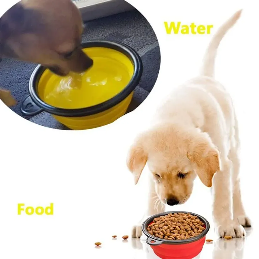 Collapsible Dog Bowl