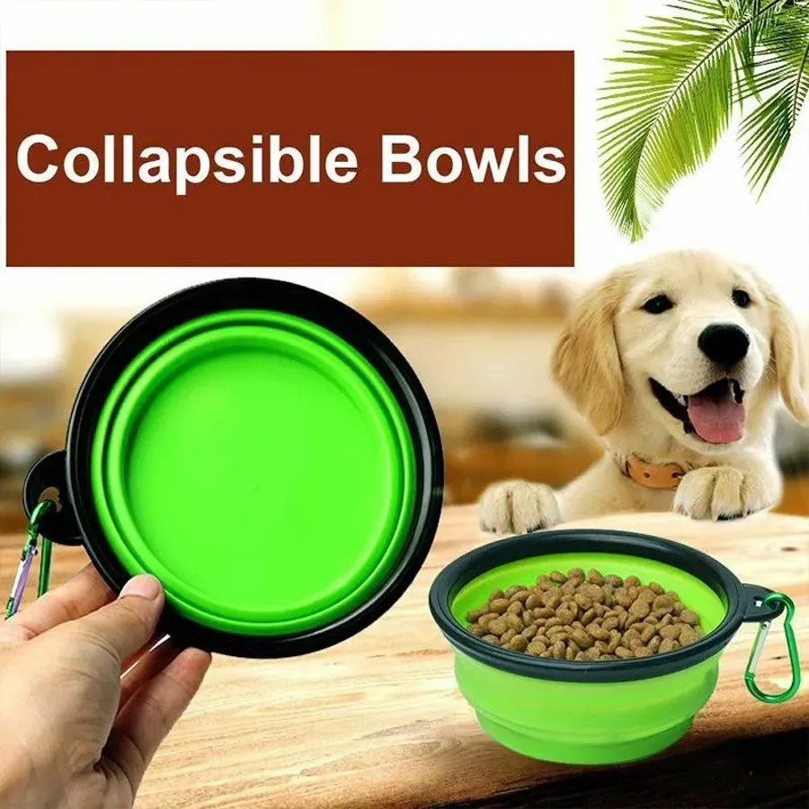 Collapsible Dog Bowl