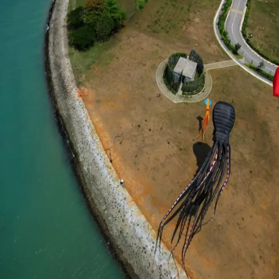 Giant Octopus Kite